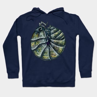 Armadillidium vulgare Isopod Hoodie